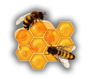 پماد عسل مدی هانی 395 6 درمان پلاس کرج – پماد عسل مدی هانی 395 پماد عسل مدی هانی 395